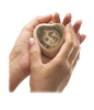 Heartfelt - Keepsake