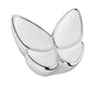 Butterfly Grace - Pearl